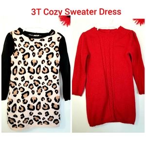 💕Lot of 2 Girls Crazy 8 Winter Sweater Dress 3T